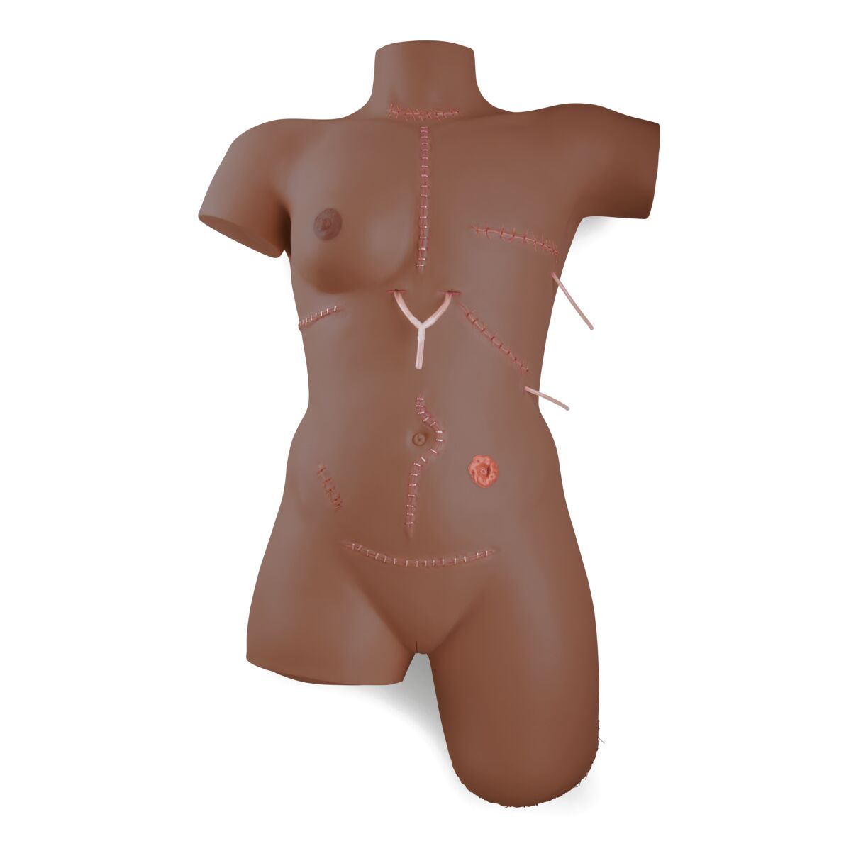 Trainer for Wound Care and Bandaging Techniques, Dark Skin