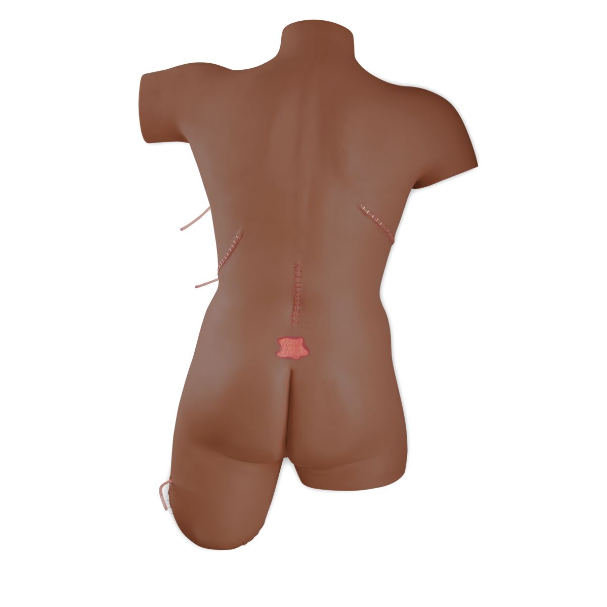 Trainer for Wound Care and Bandaging Techniques, Dark Skin