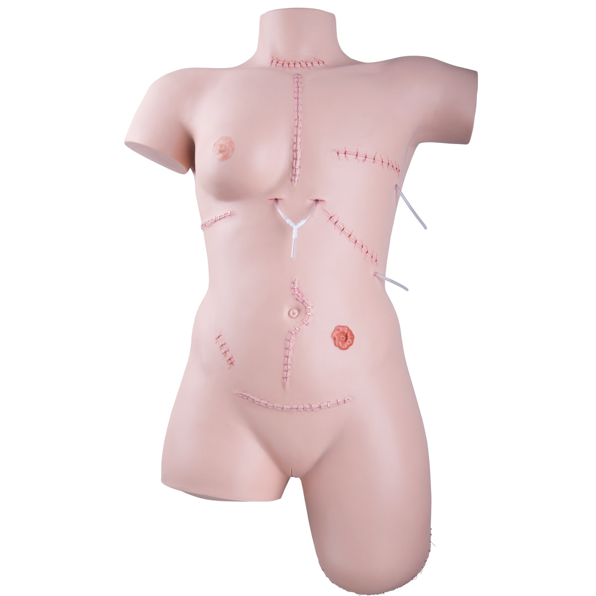 Trainer for Wound Care and Bandaging Techniques