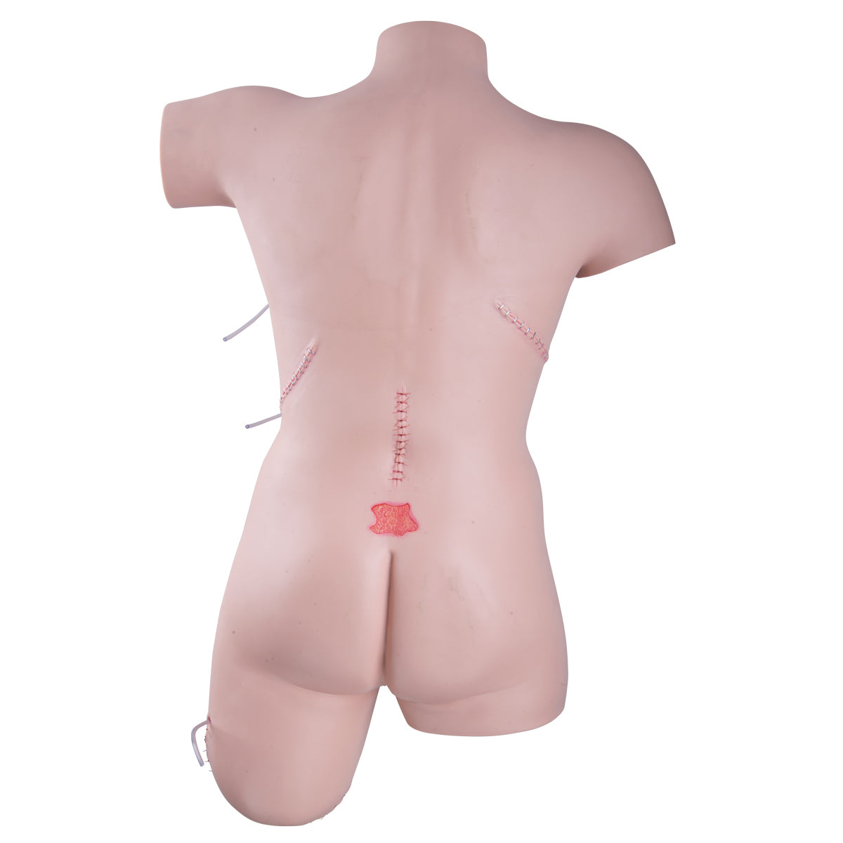 Trainer for Wound Care and Bandaging Techniques