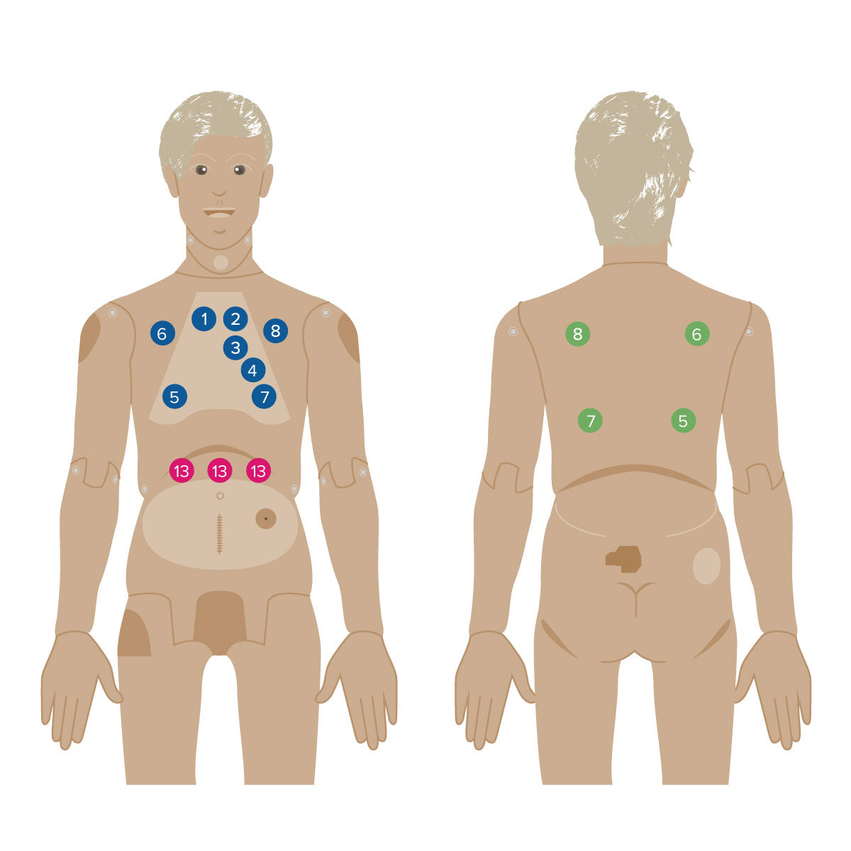 Nikki the Nursing Manikin with Auscultation, Light Skin - 3B Scientific P10CCD, view 4