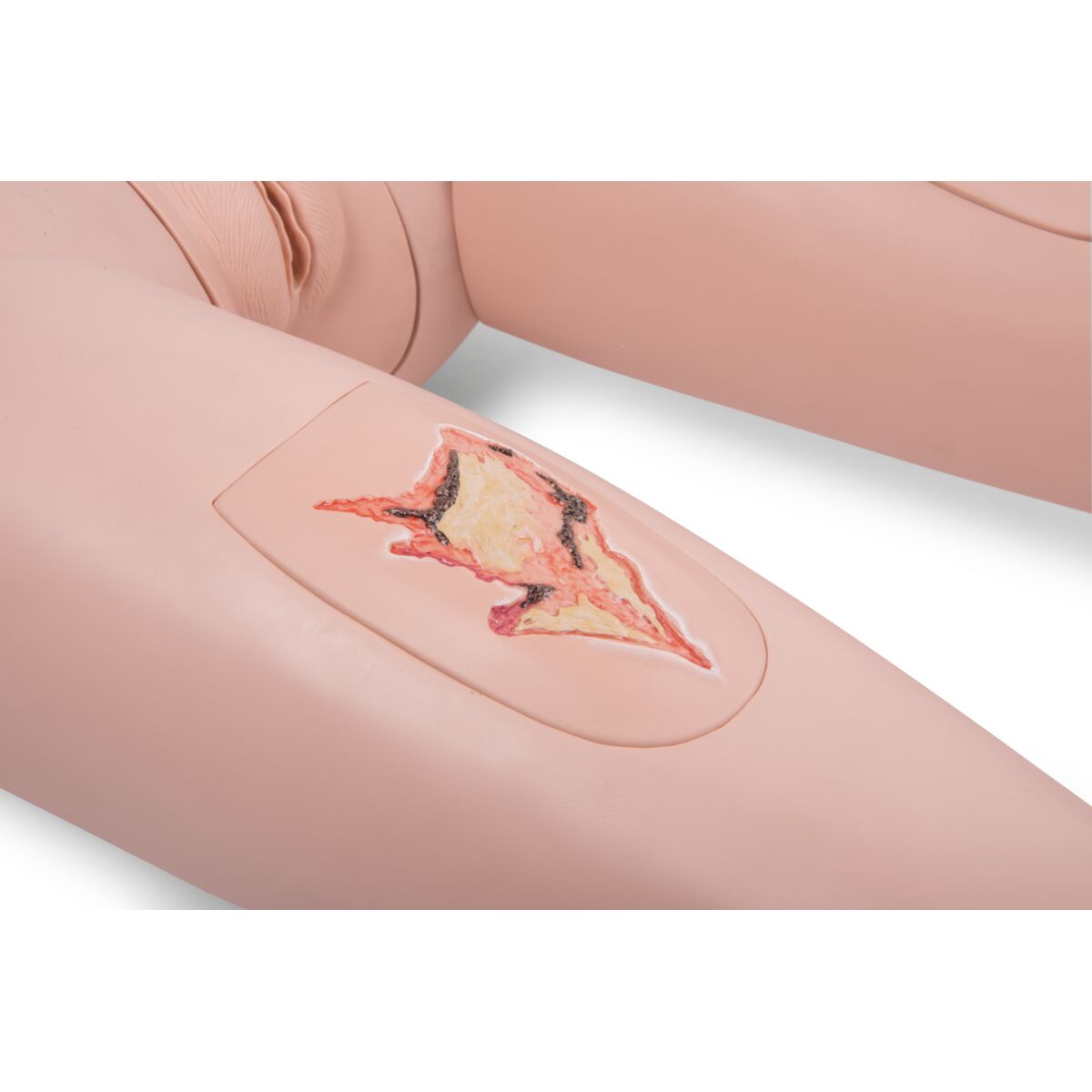3B Scientific® Patient Care Manikin PRO, Light Skin - 3B Scientific P10N, view 7
