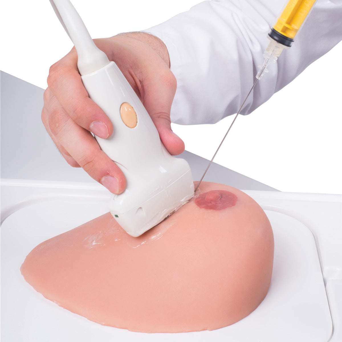 SONOtrain Breast Model with Cysts - 3B Scientific P124, view 13