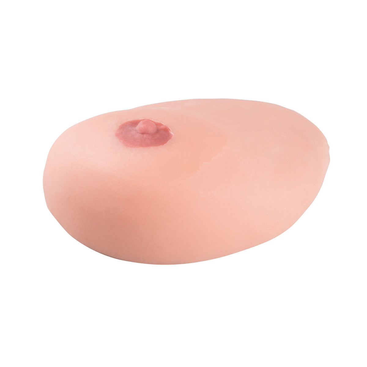 SONOtrain Breast Model with Cysts - 3B Scientific P124, view 14