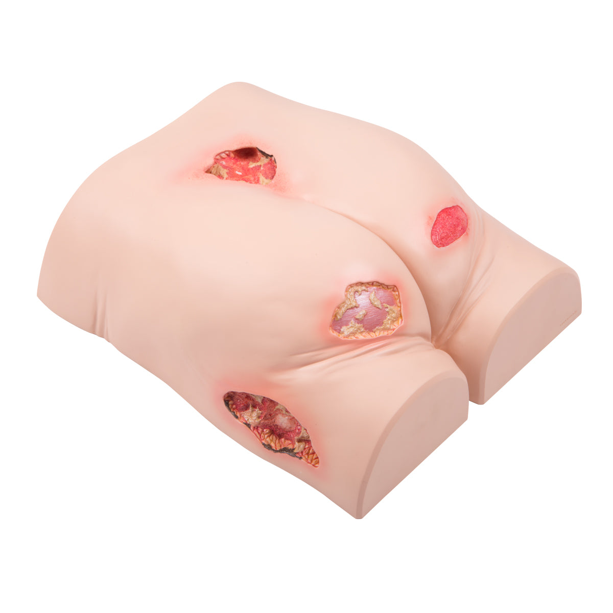 Decubitus trainer - 3B Scientific P15, view 3