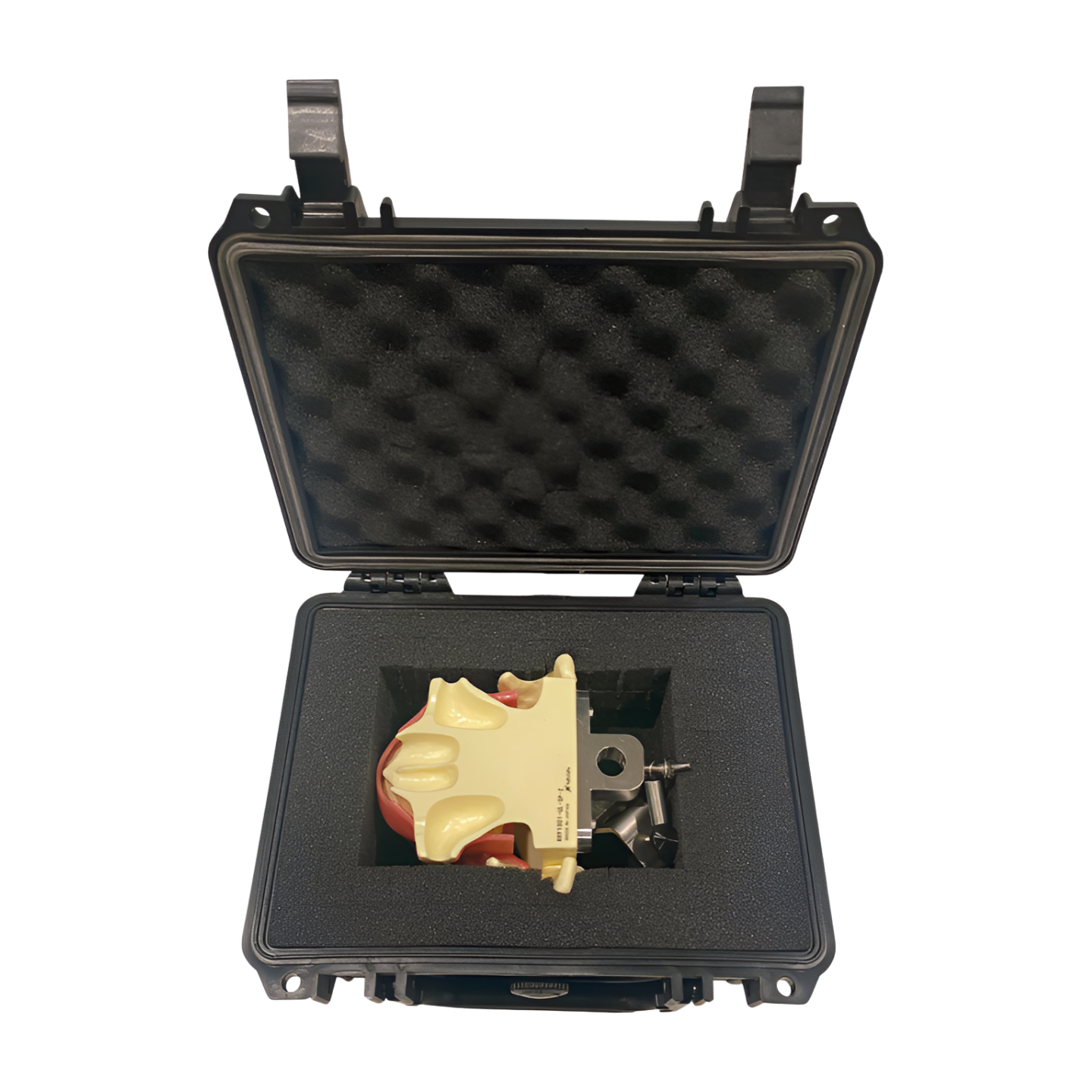 Pediatric Radiology Manikin