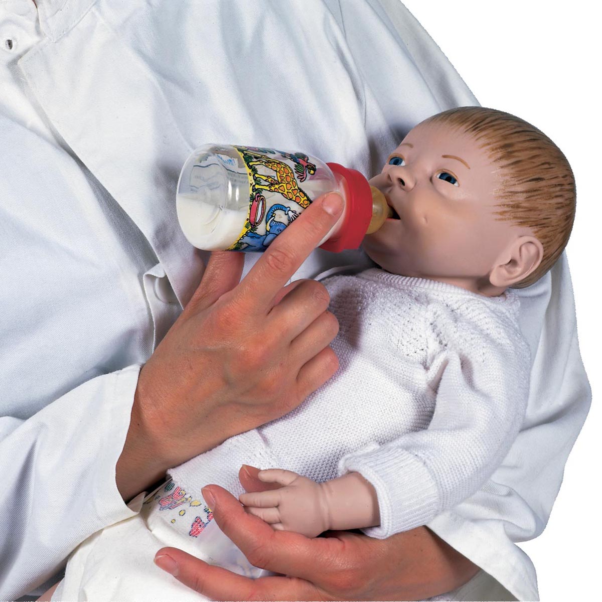 Male Baby Care Model - 3B Scientific P31, view 9
