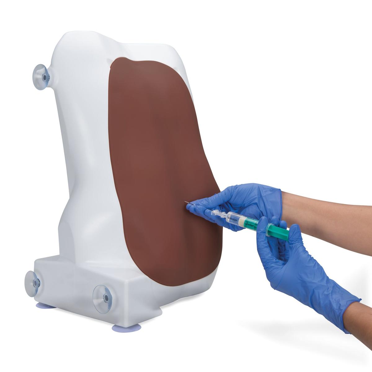 Epidural and Spinal Injection Trainer, Dark Skin