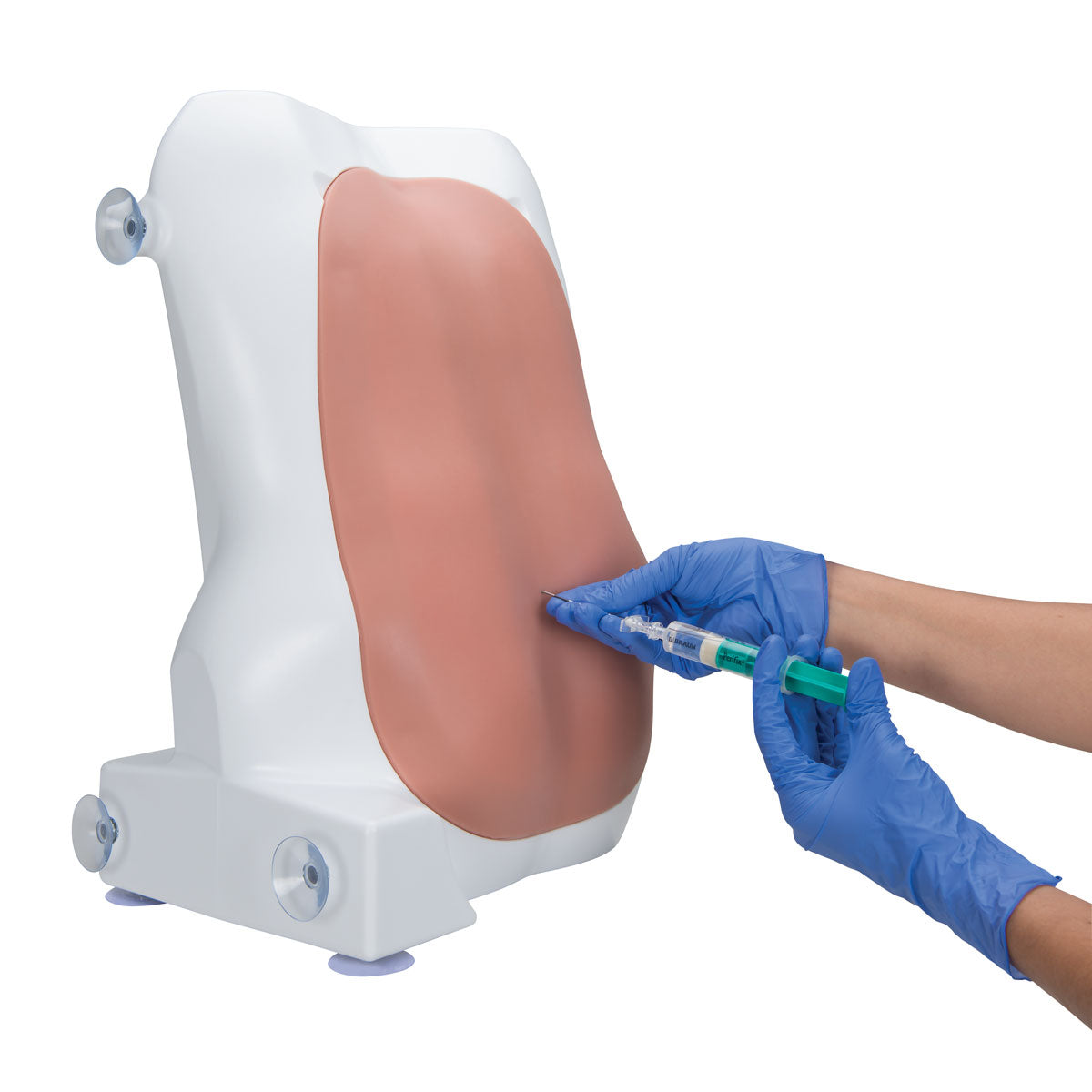 Epidural and Spinal Injection Trainer - 3B Scientific P61, view 6