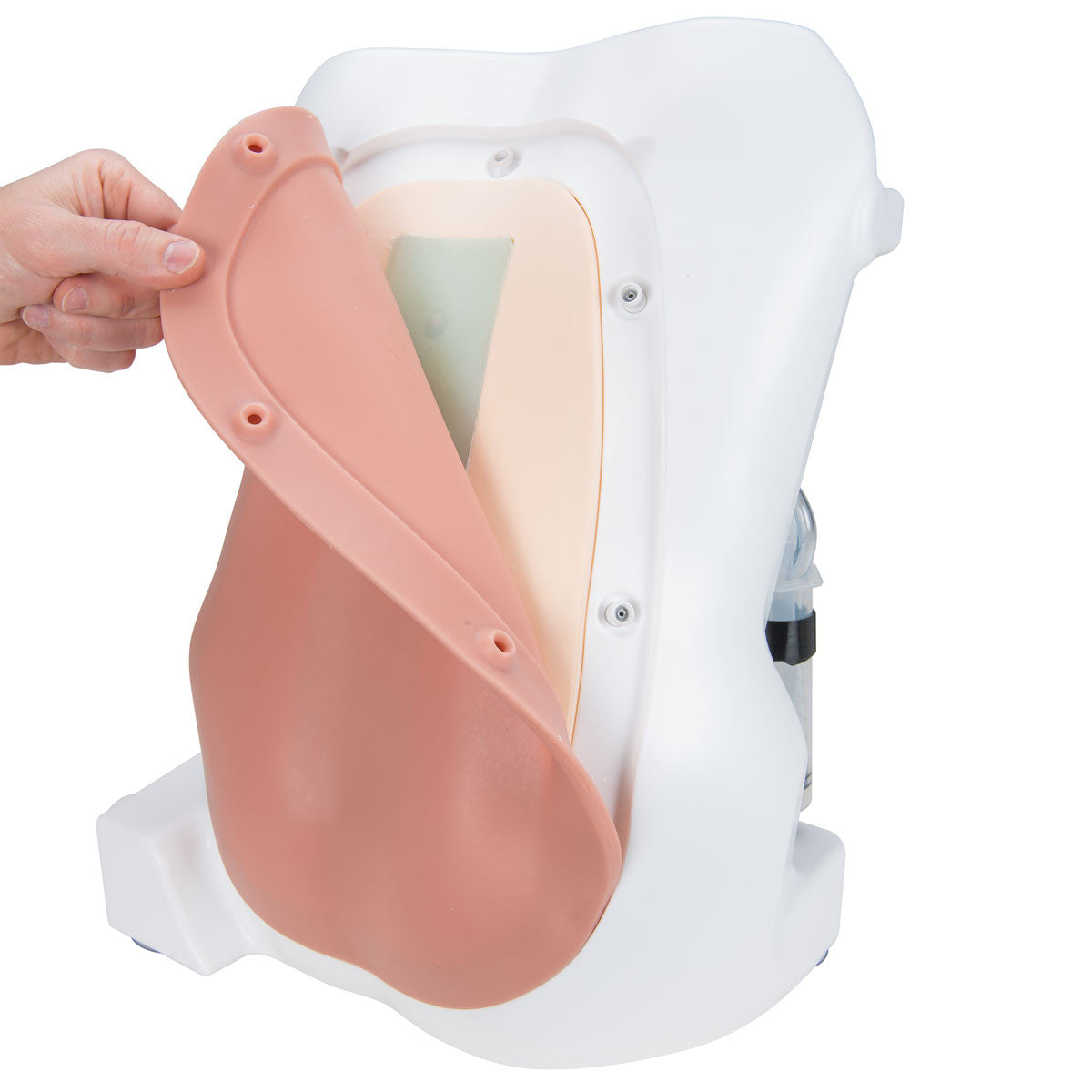 Epidural and Spinal Injection Trainer | 3B Scientific P61 - replacement skin