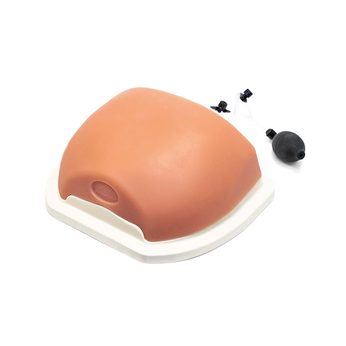 Image Guided Thoracic Spinal Injection Trainer P66