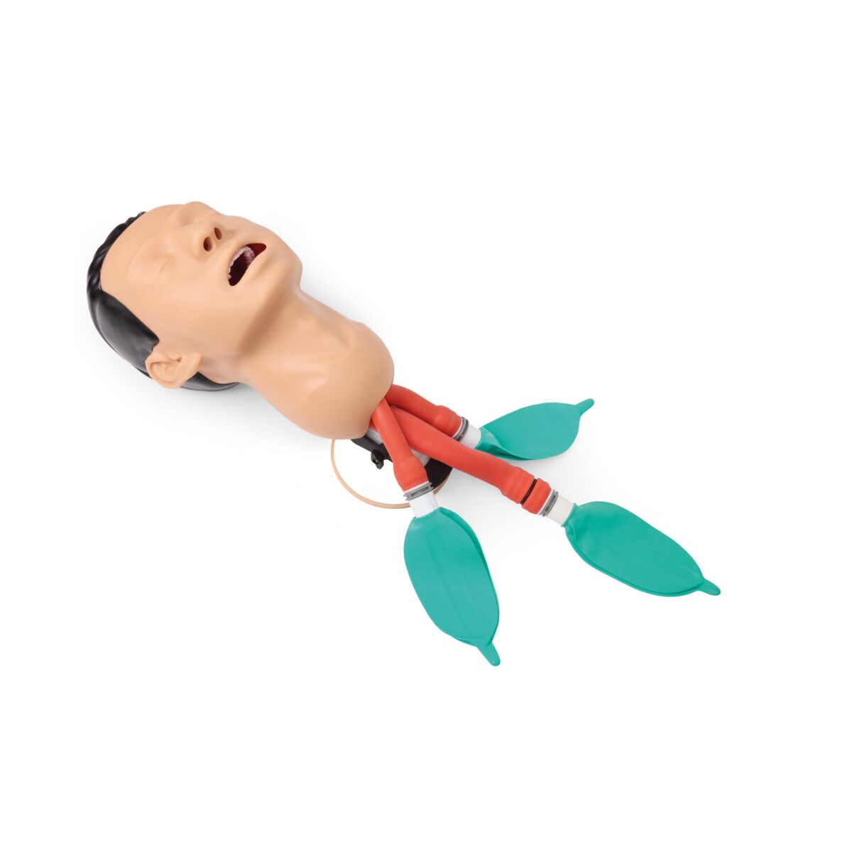 Airway Management Trainer, Light Skin