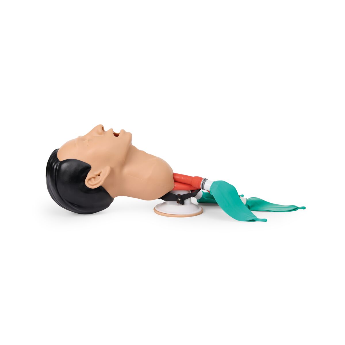 Airway Management Trainer, Light Skin