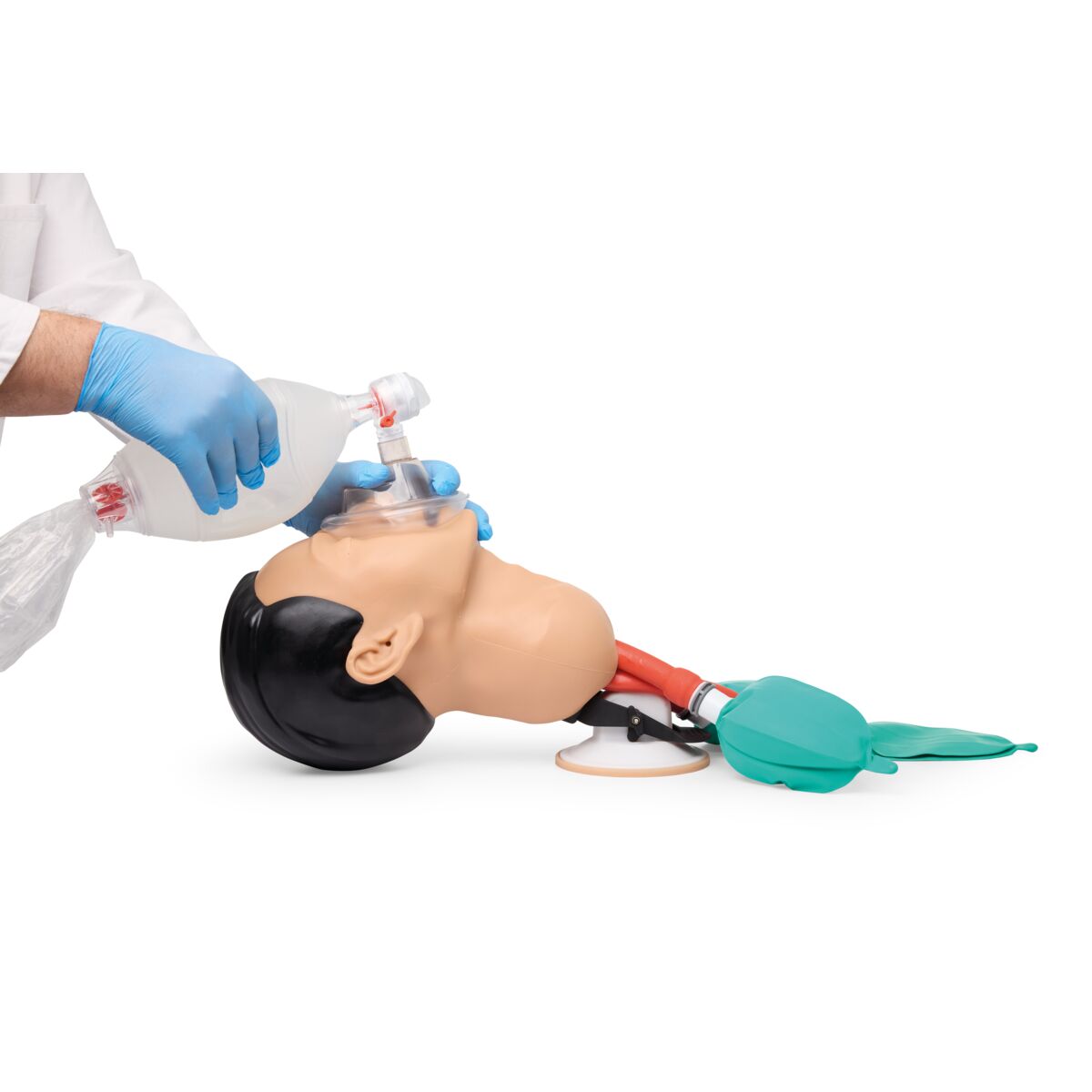 Airway Management Trainer, Light Skin