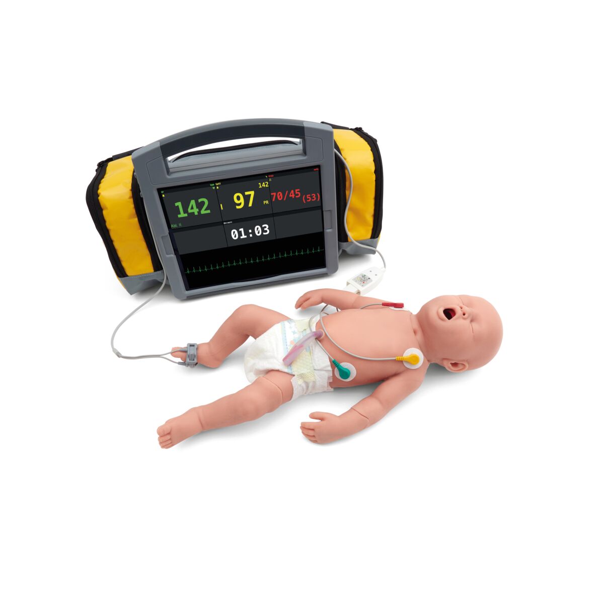 Atlas Baby Light Skin - 3B Scientific P77, view 6