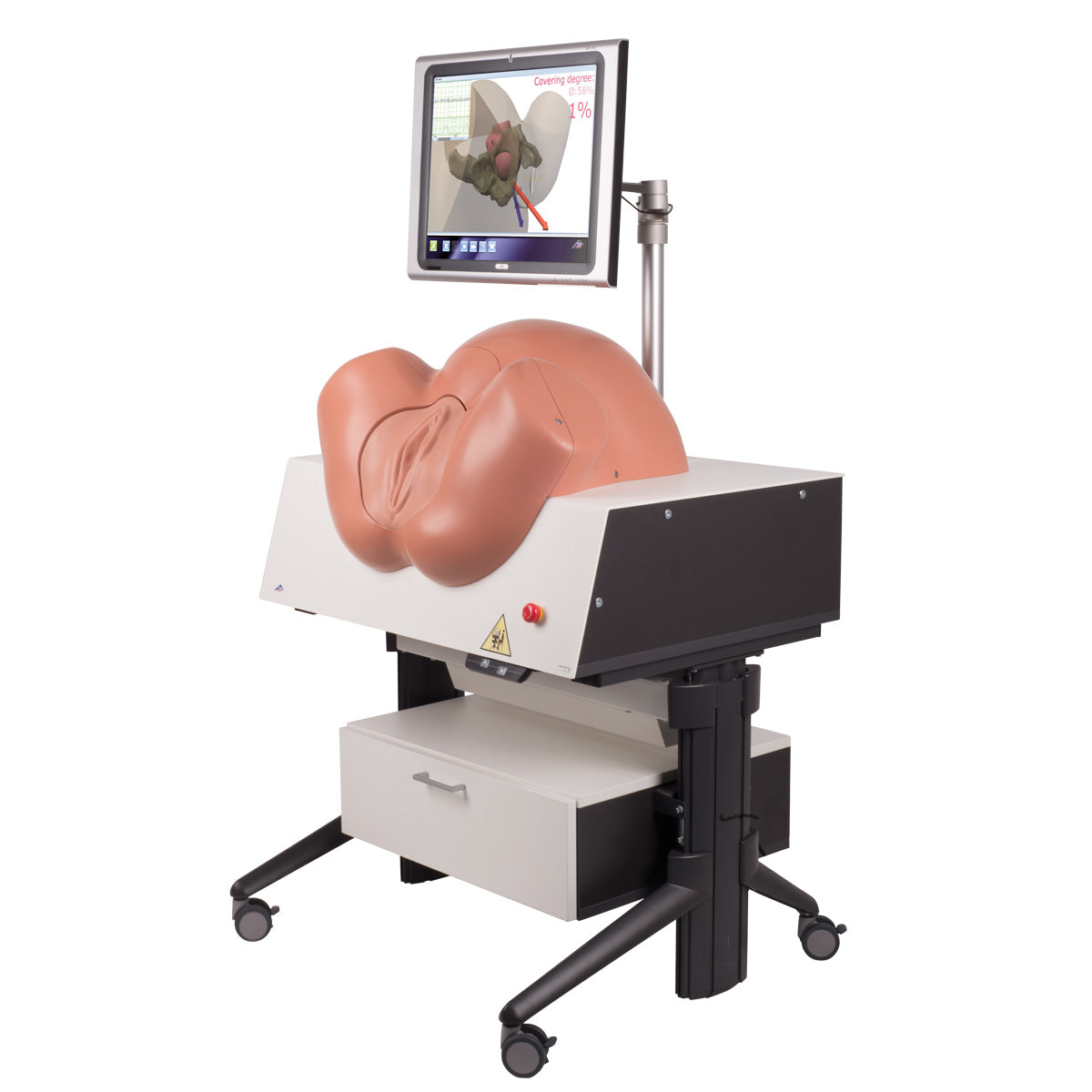 NEW SIMone Birthing Simulator