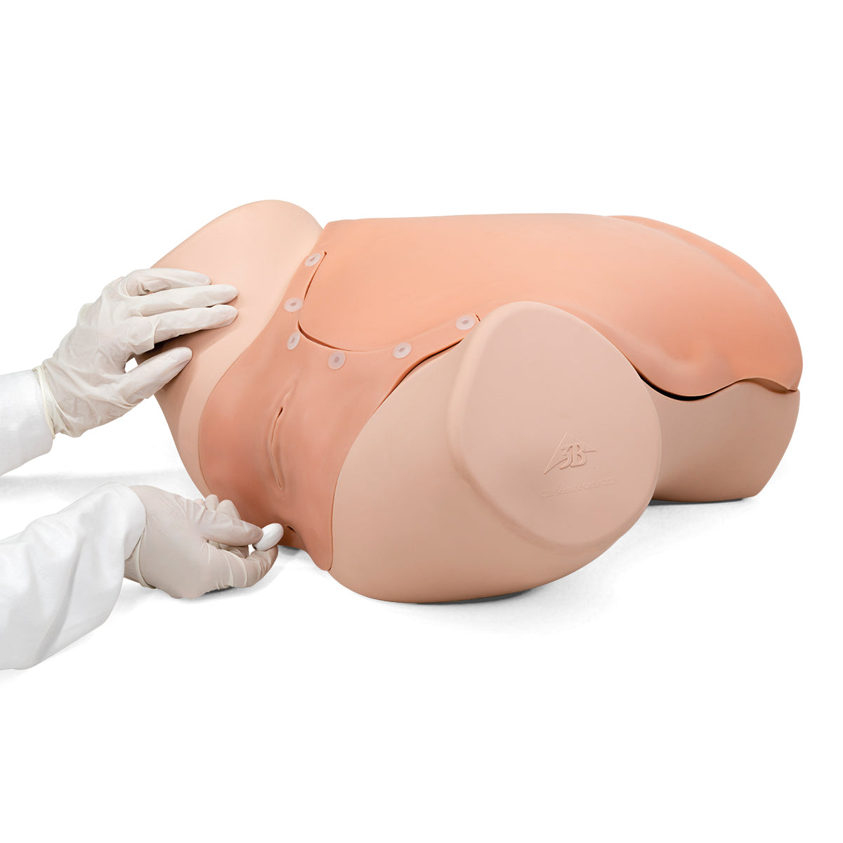 Gynecologic Skills Trainer, Light Skin - 3B Scientific P91, view 8