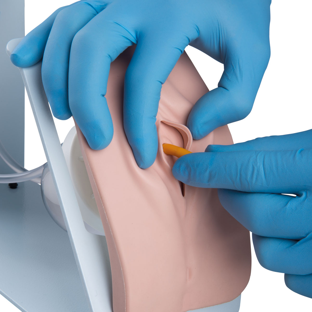 Catheterization Simulator Basic-Female, Light Skin