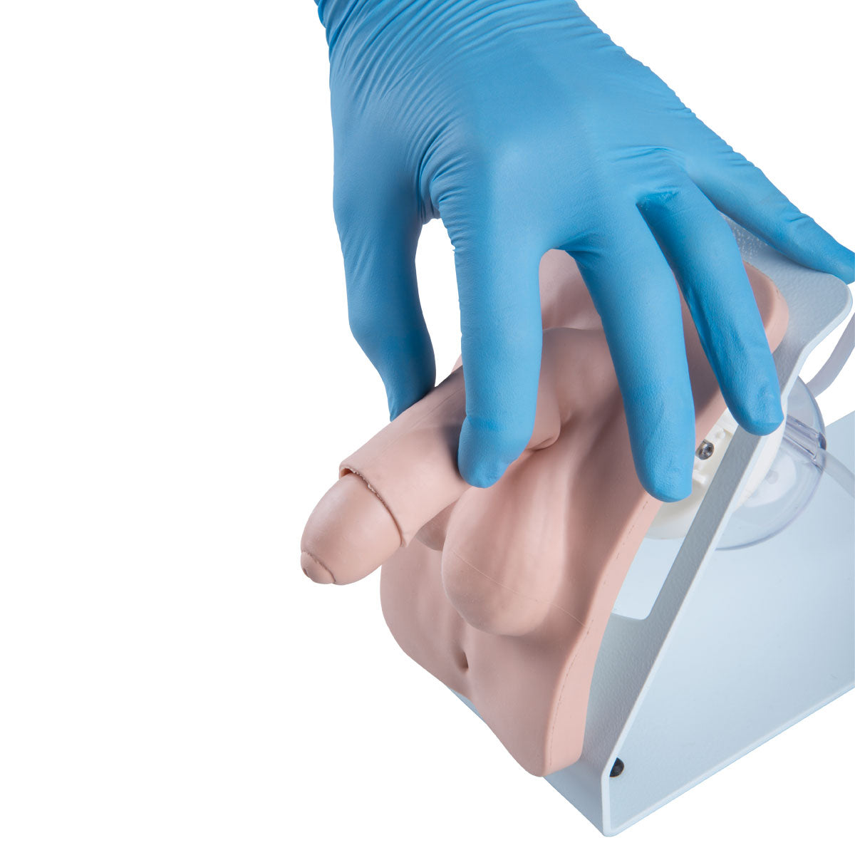 Catheterization Simulator Set Basic, Light Skin