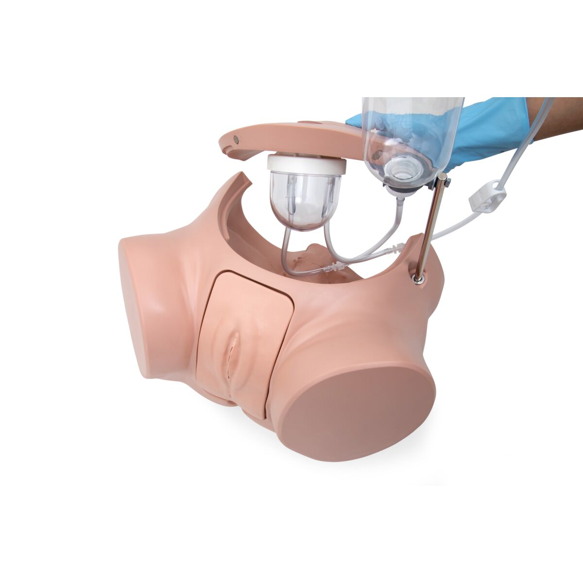 Catheterization Simulator Pro-Female, Light Skin - 3B Scientific P93SPC-F, view 4