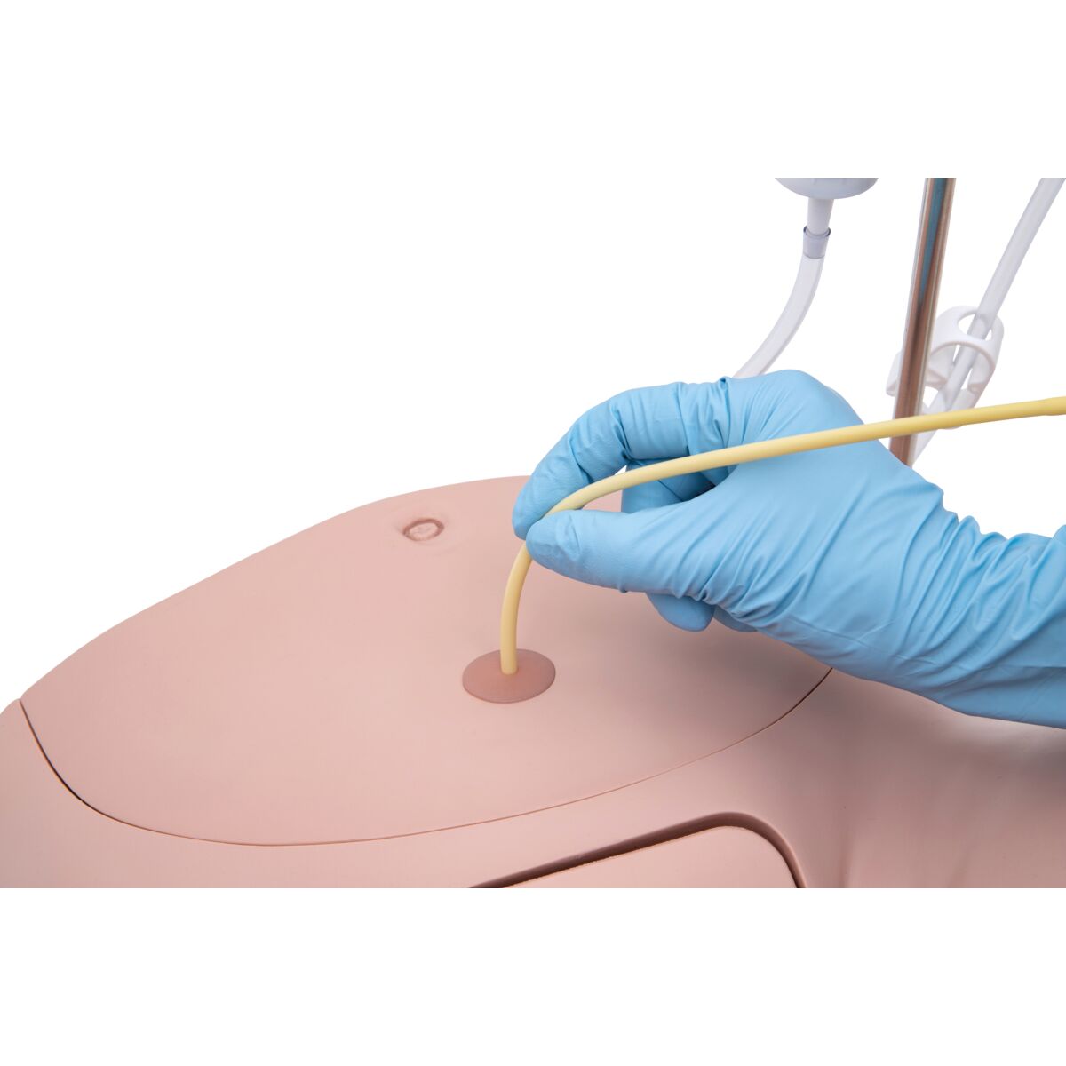 Catheterization Simulator Pro-Male, Light Skin