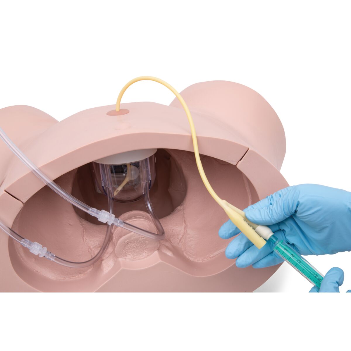 Catheterization Simulator Pro-Male, Light Skin