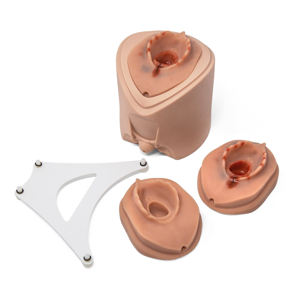 Episiotomy Suture Trainer Module P96