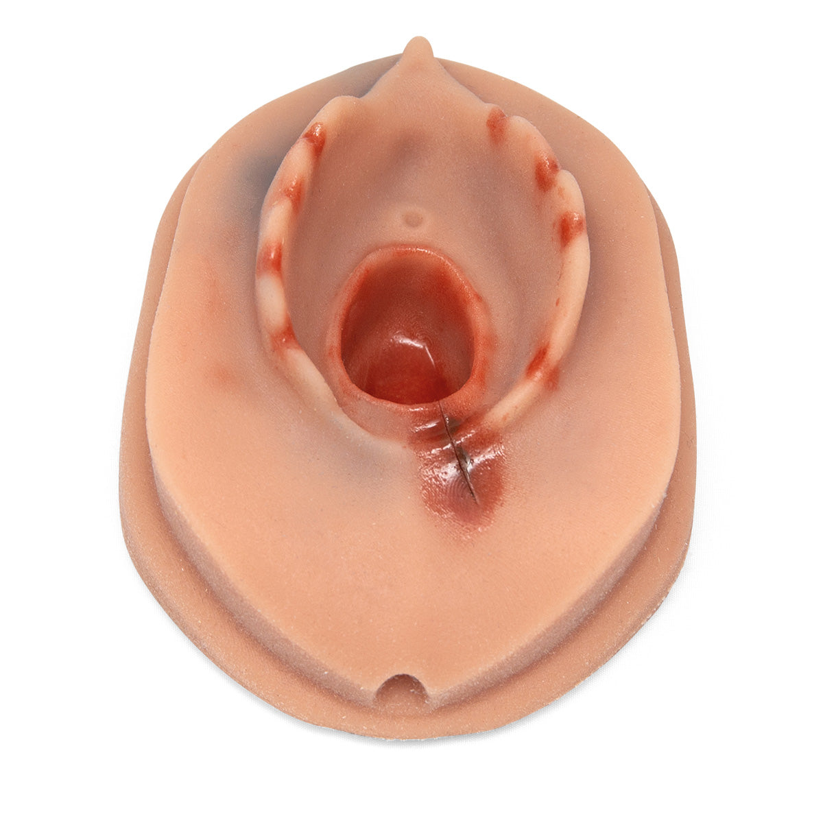 Episiotomy Suture Trainer Module P96