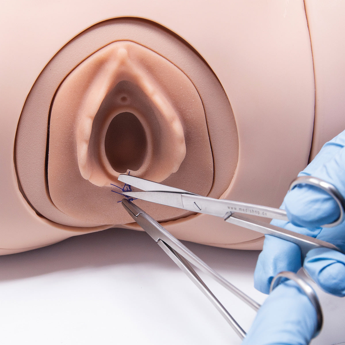 Episiotomy Suture Trainer Module P96