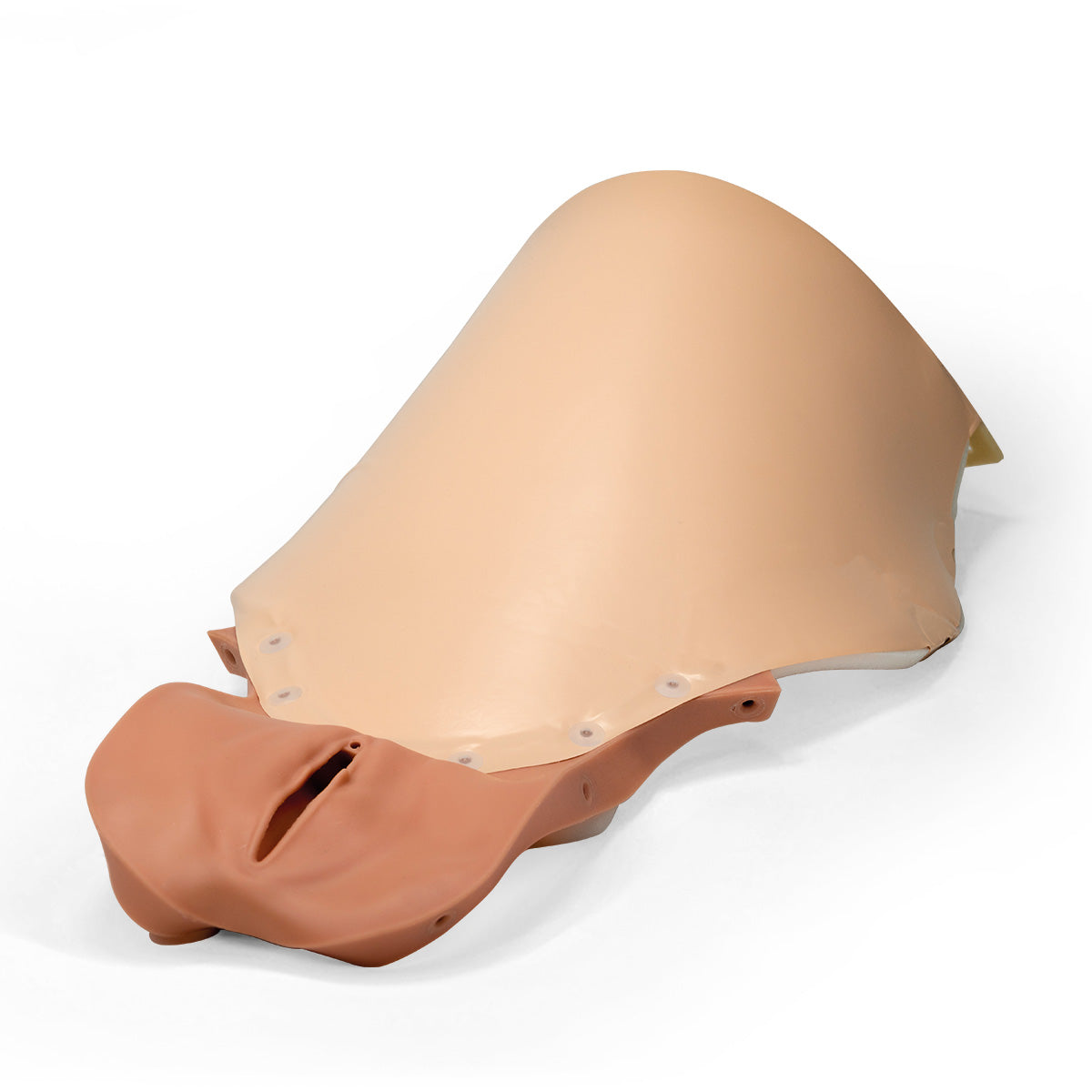 PPH Trainer P97 - Module