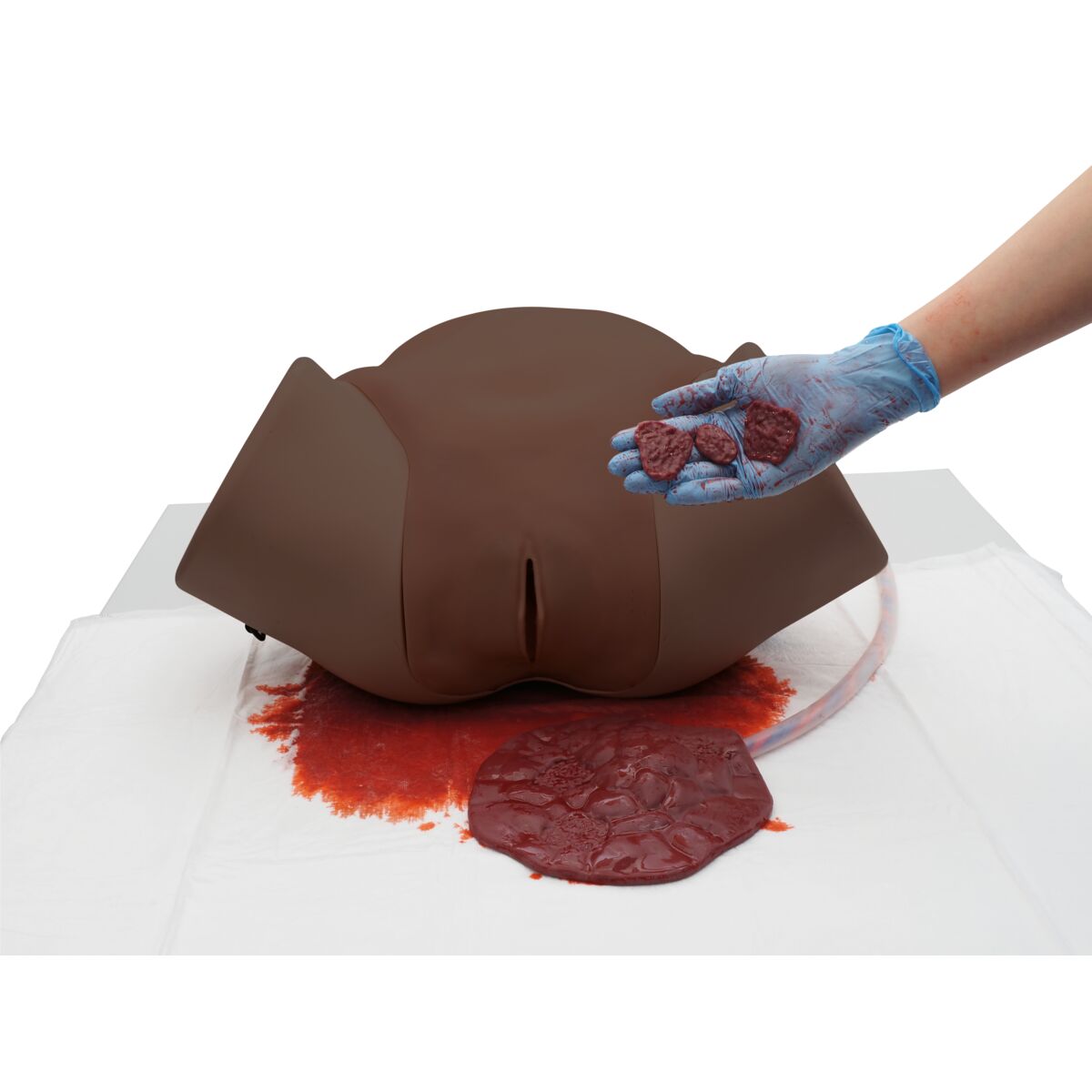 P97D PRO PPH module for birth simulator P90D