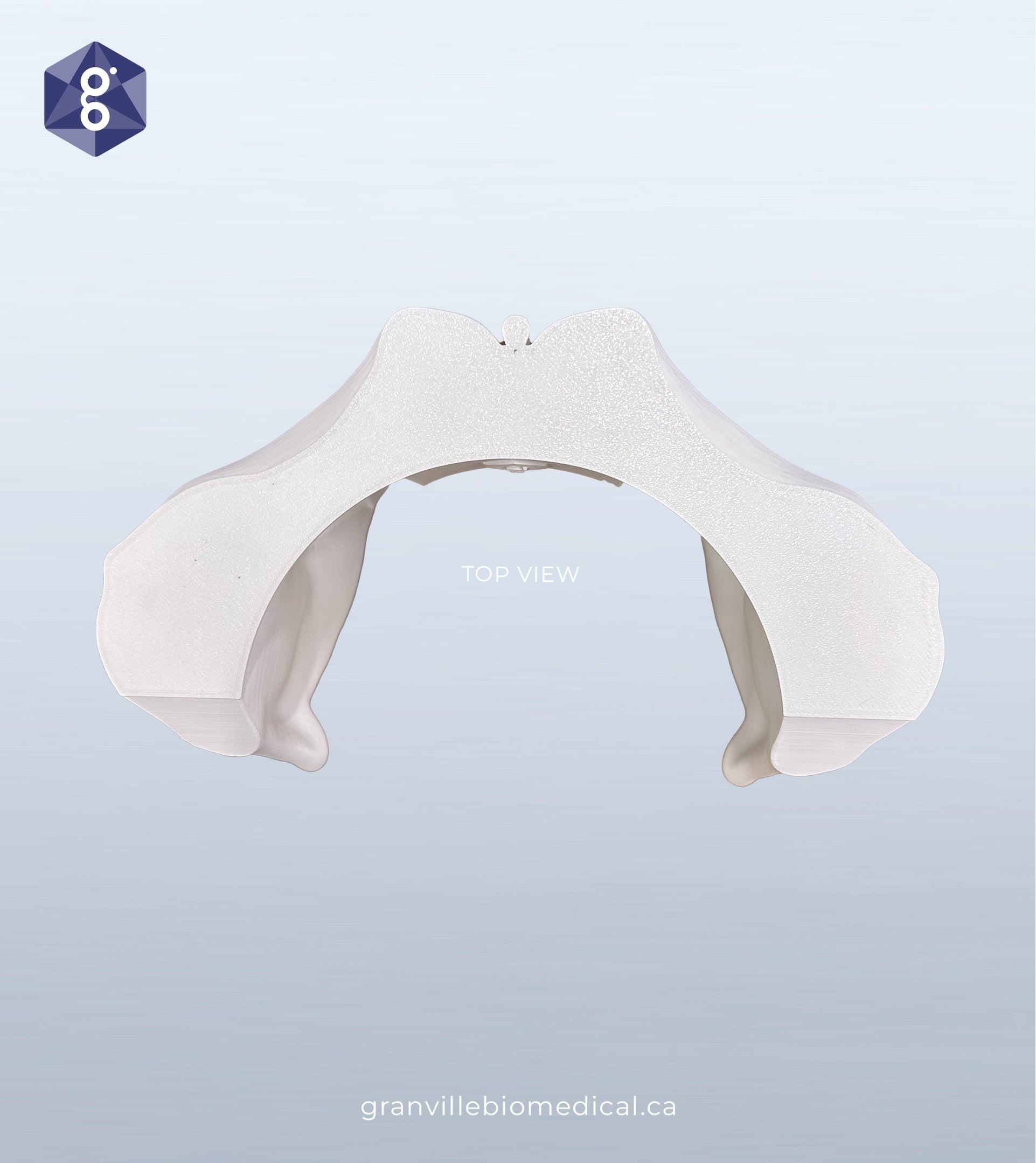 Lily pelvic bone component, top view