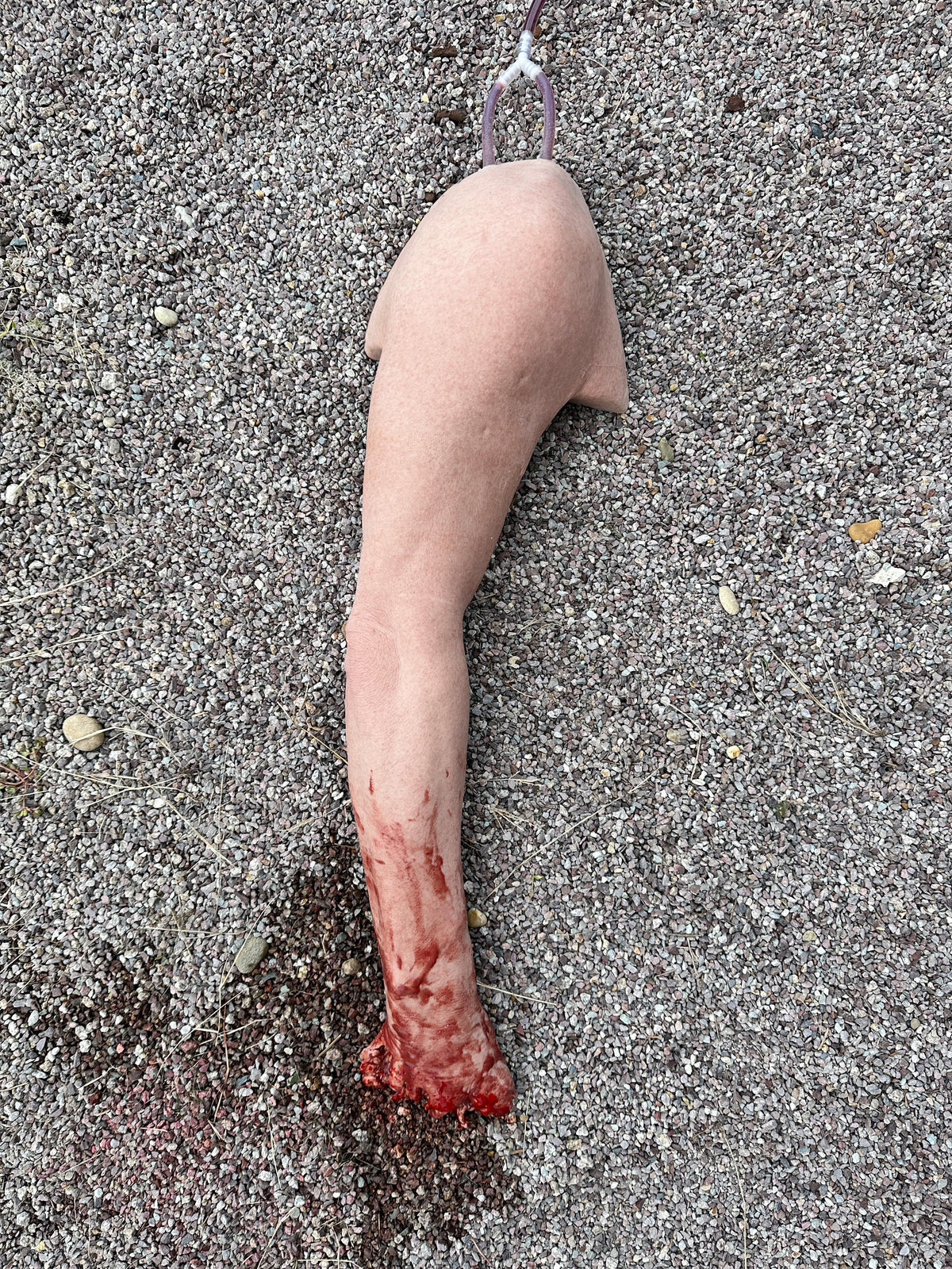 Tourniquet Trainer - Bleeding arm | Erler-Zimmer SE300