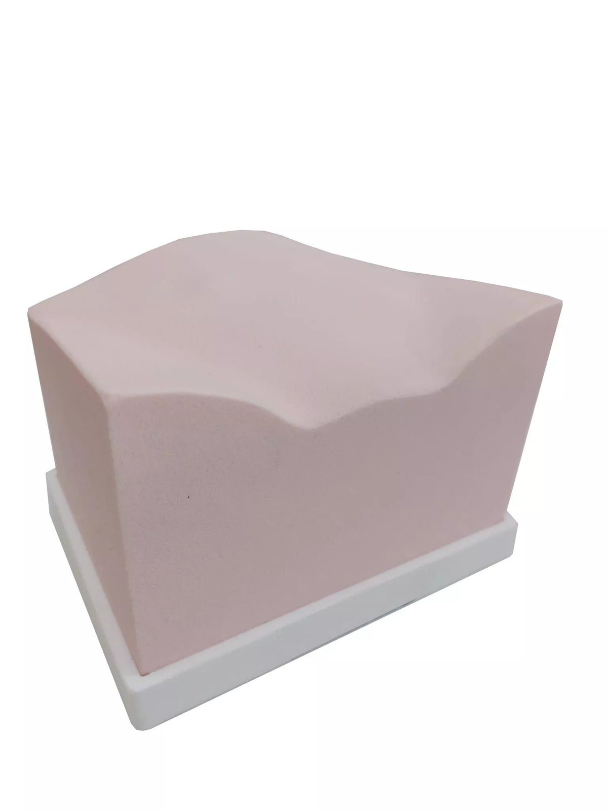 SonoEZ ultrasound trainer ‘Urinary bladder’ - Erler-Zimmer SEZ-BL, view 9