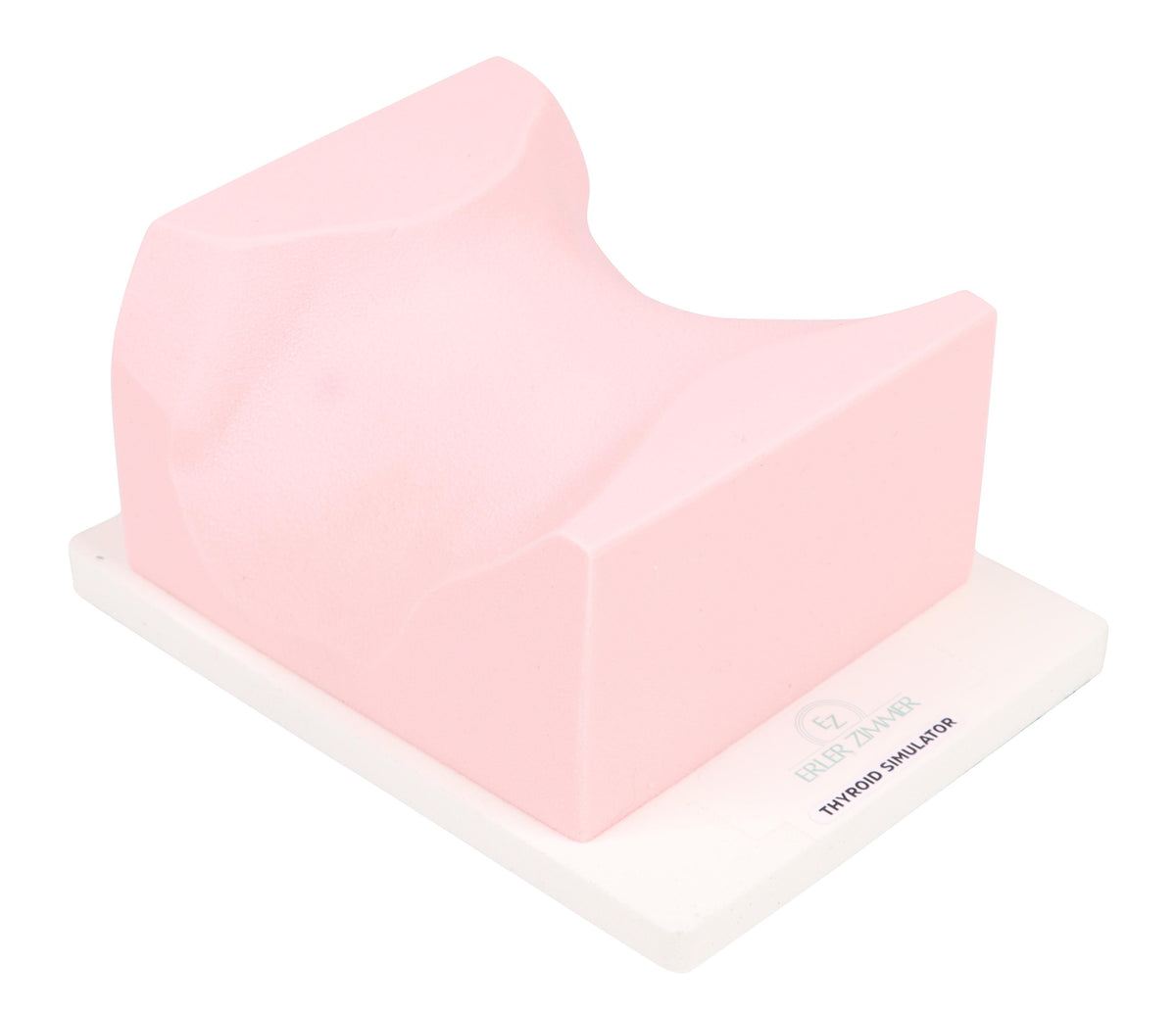 SonoEZ ultrasound trainer ‘Thyroid gland’ | Erler-Zimmer SEZ-TH