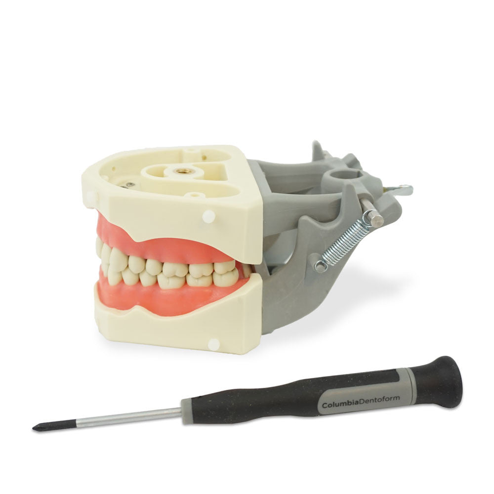 SM-PVR-860 model | Columbia Dentoform DentalEZ