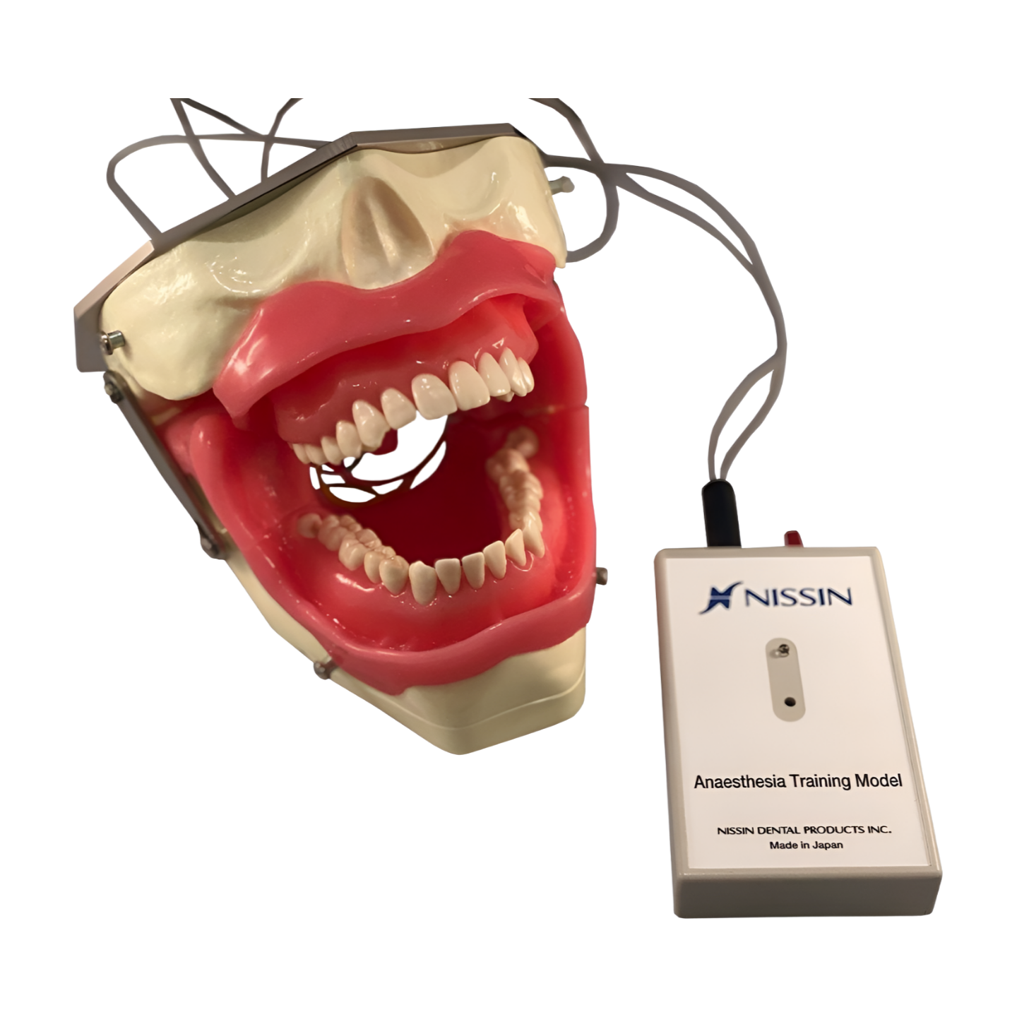 Anesthesia – SUG2005-UL-SP