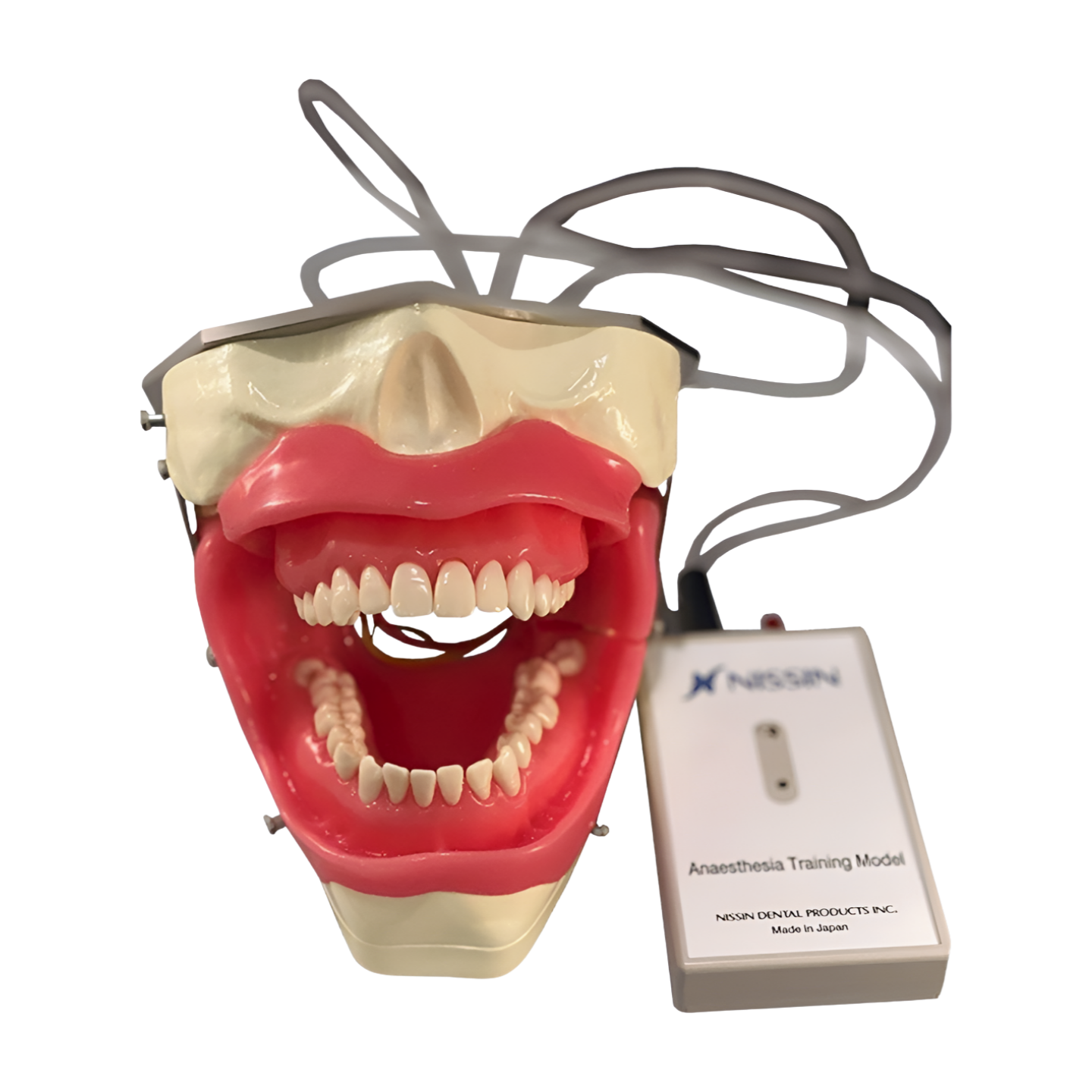 Anesthesia – SUG2005-UL-SP