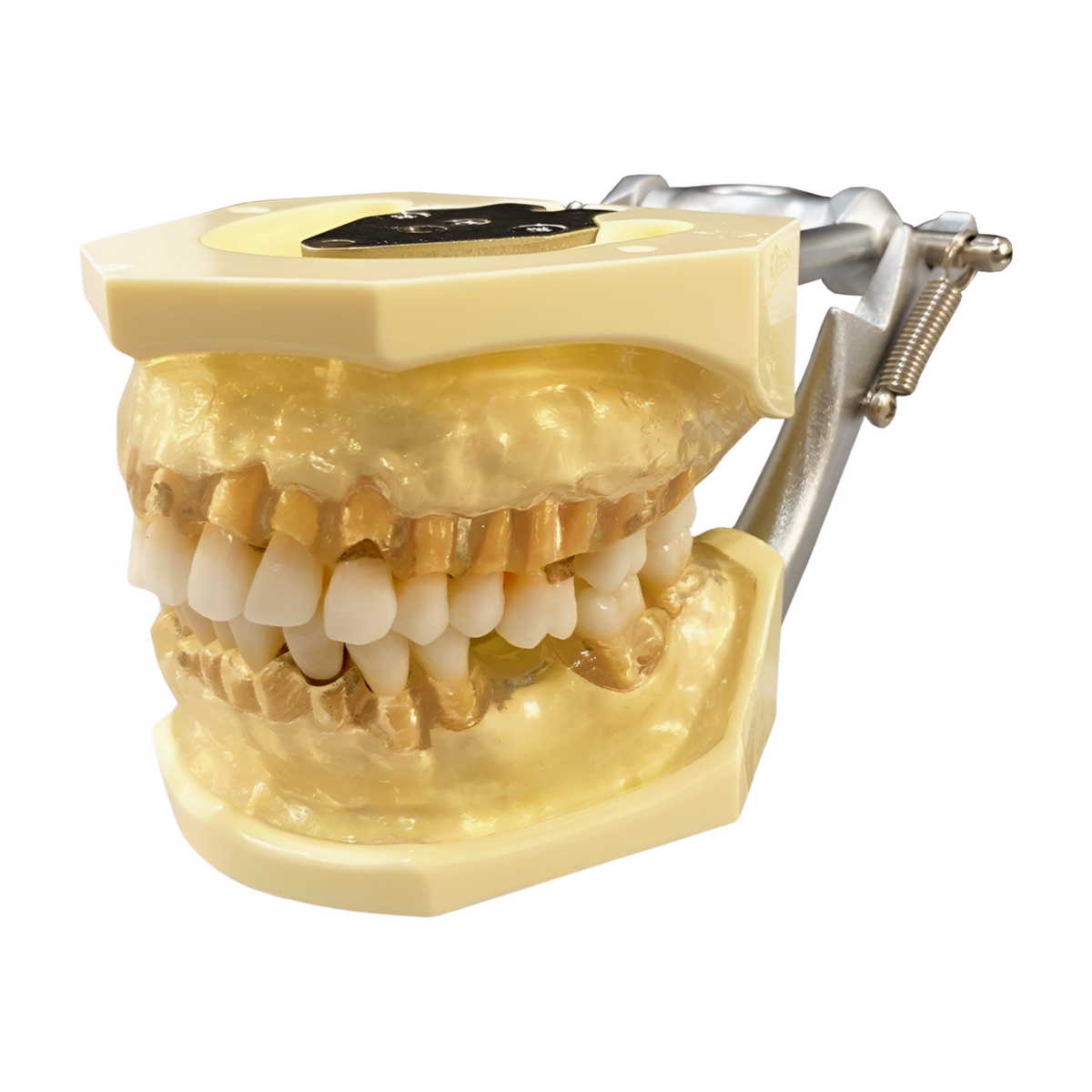 TR56C-GSD-Clear - Kilgore / Nissin P15DP-TR56C