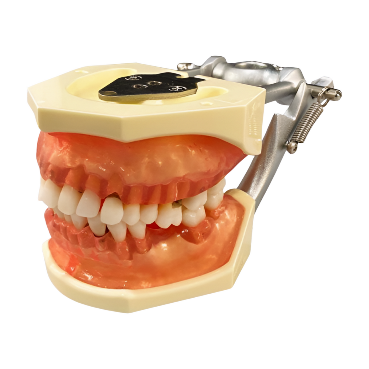 TR56C-GSD-GSE Semi-Transparent - Kilgore / Nissin P15DP-TR56C