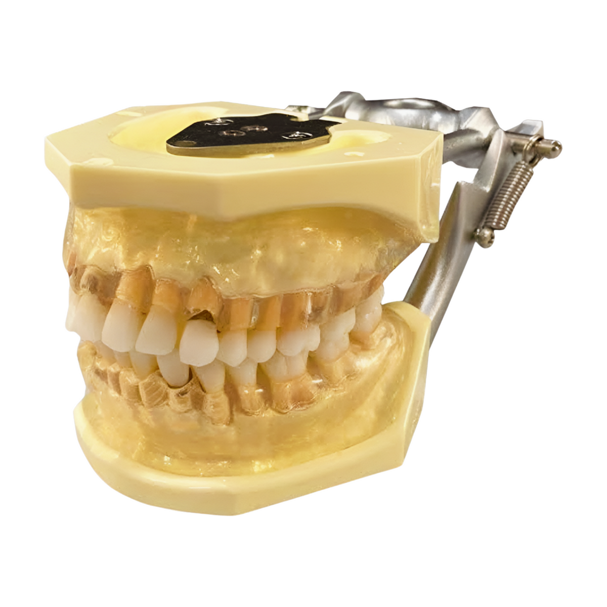 TR56D-GSD-Clear - Kilgore / Nissin P15DP-TR56D