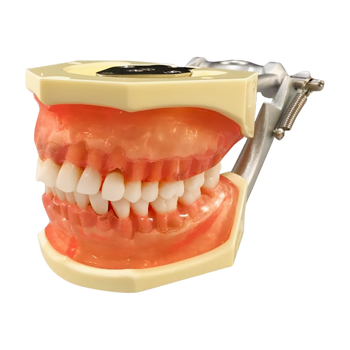 TR56D-GSE-Semi-Transparent - Kilgore / Nissin P15DP-TR56D