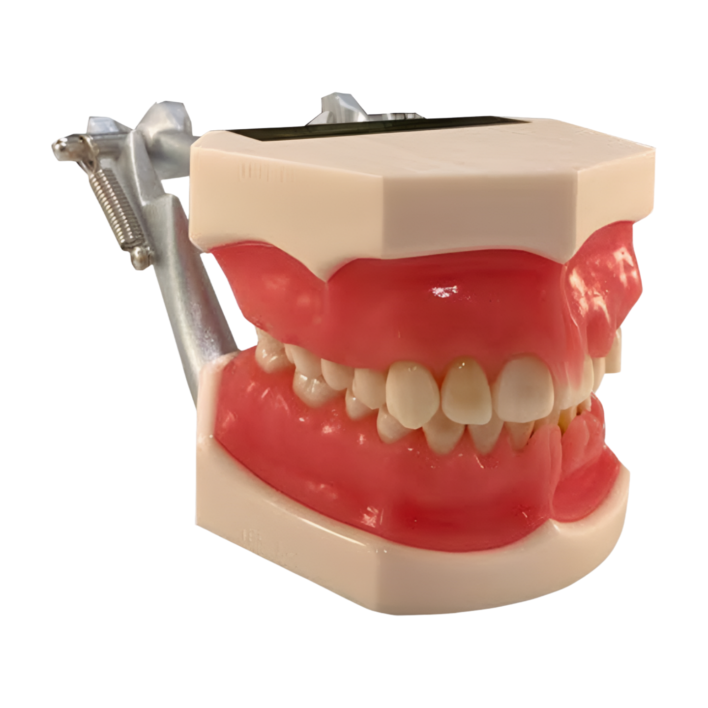 P15D-TRM.653