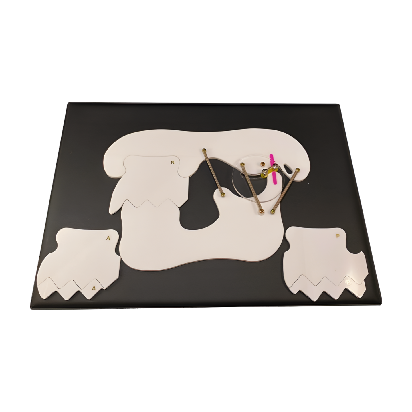 P12-TR.11 – (Magnetized) TMJ Dysfunction Board