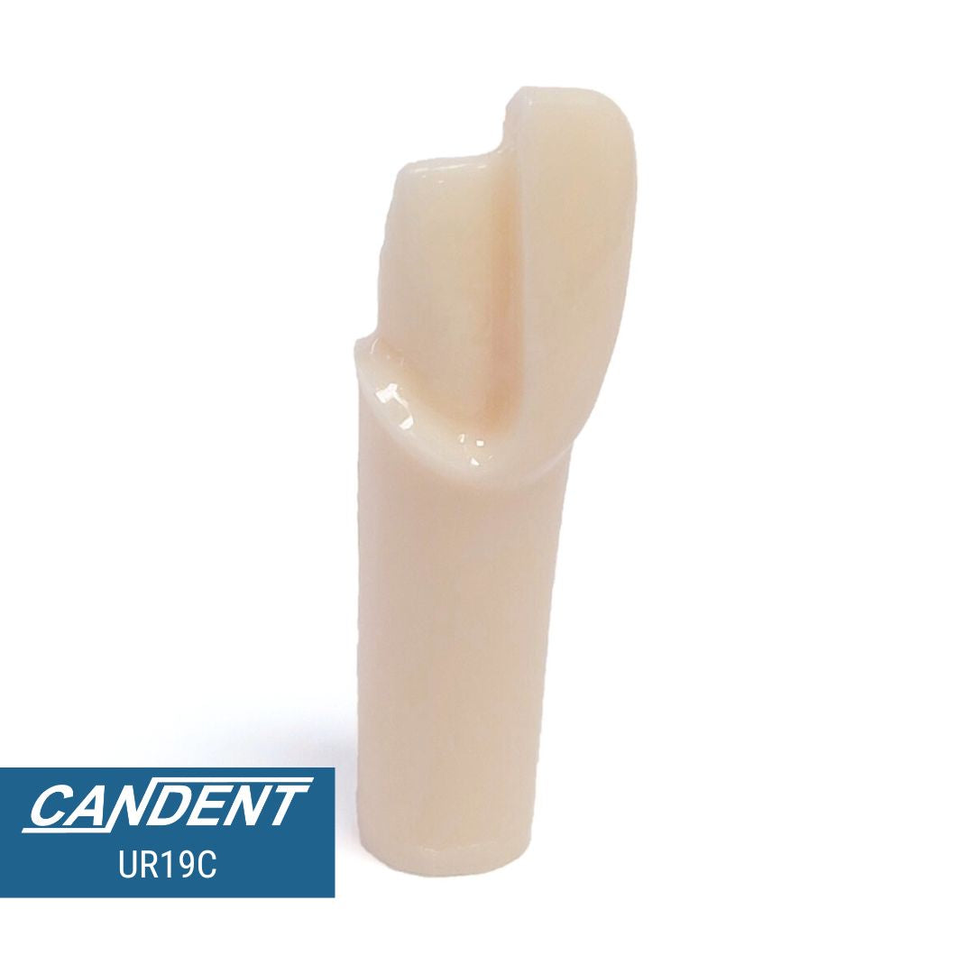 200 Series Pre-prepared Teeth