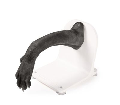 Bandage trainer canine paw