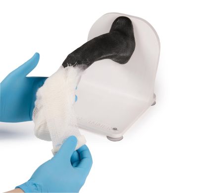 Bandage trainer canine paw