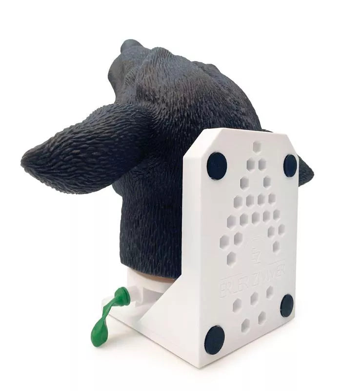 Canine Intubation  Head