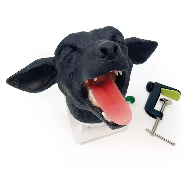 Canine Intubation  Head
