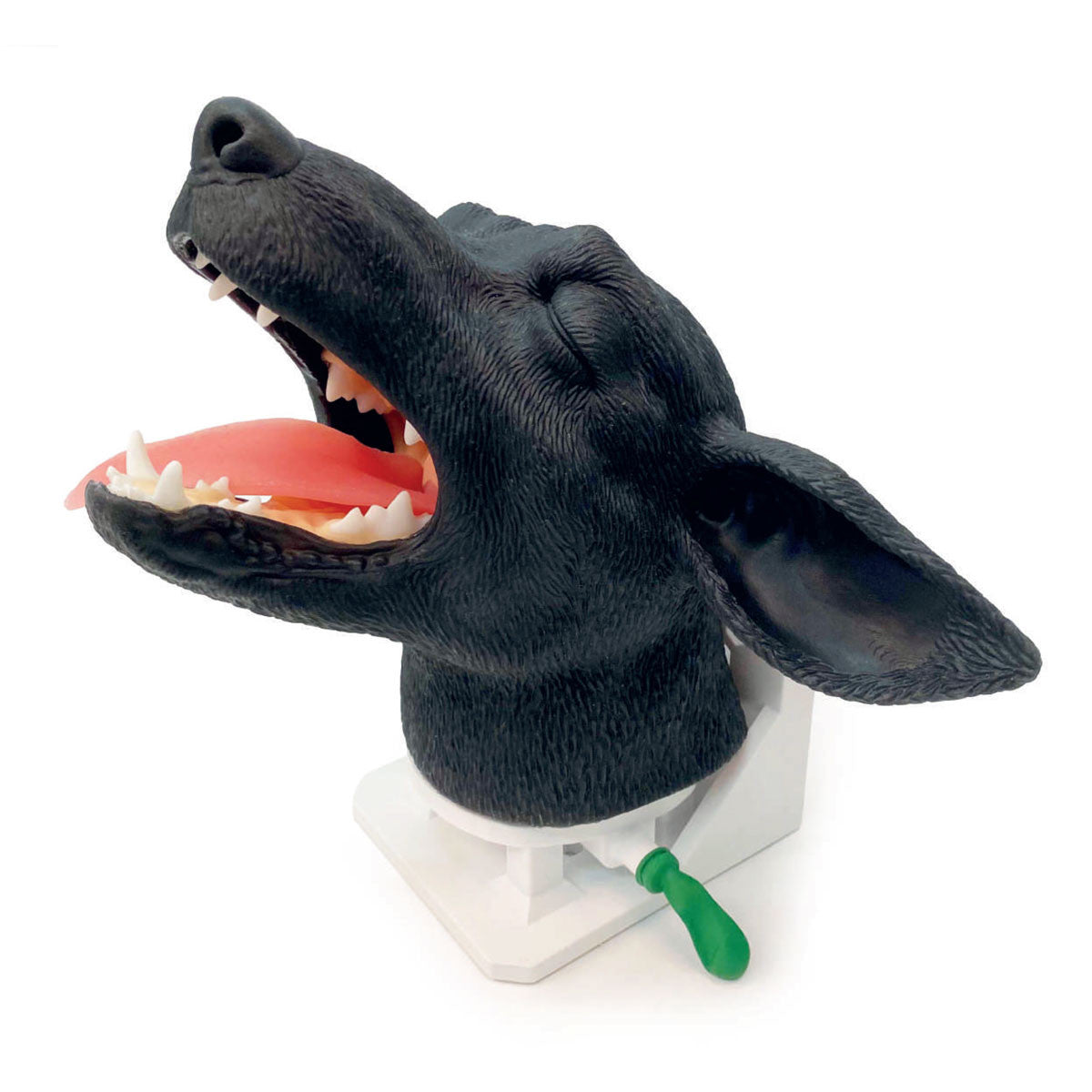 Canine Intubation  Head | VET4600 Erler Zimmer